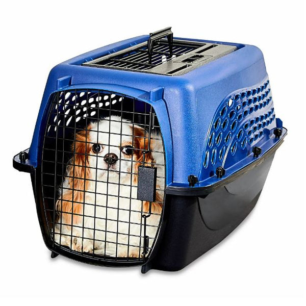 Two level dog clearance crate